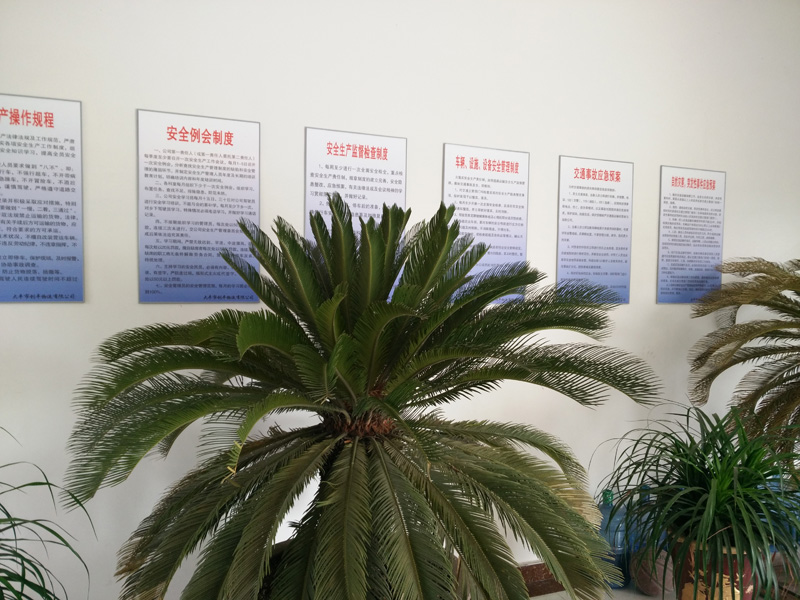 1-15042G10H9419.jpg 1-15042G10H9419.jpg